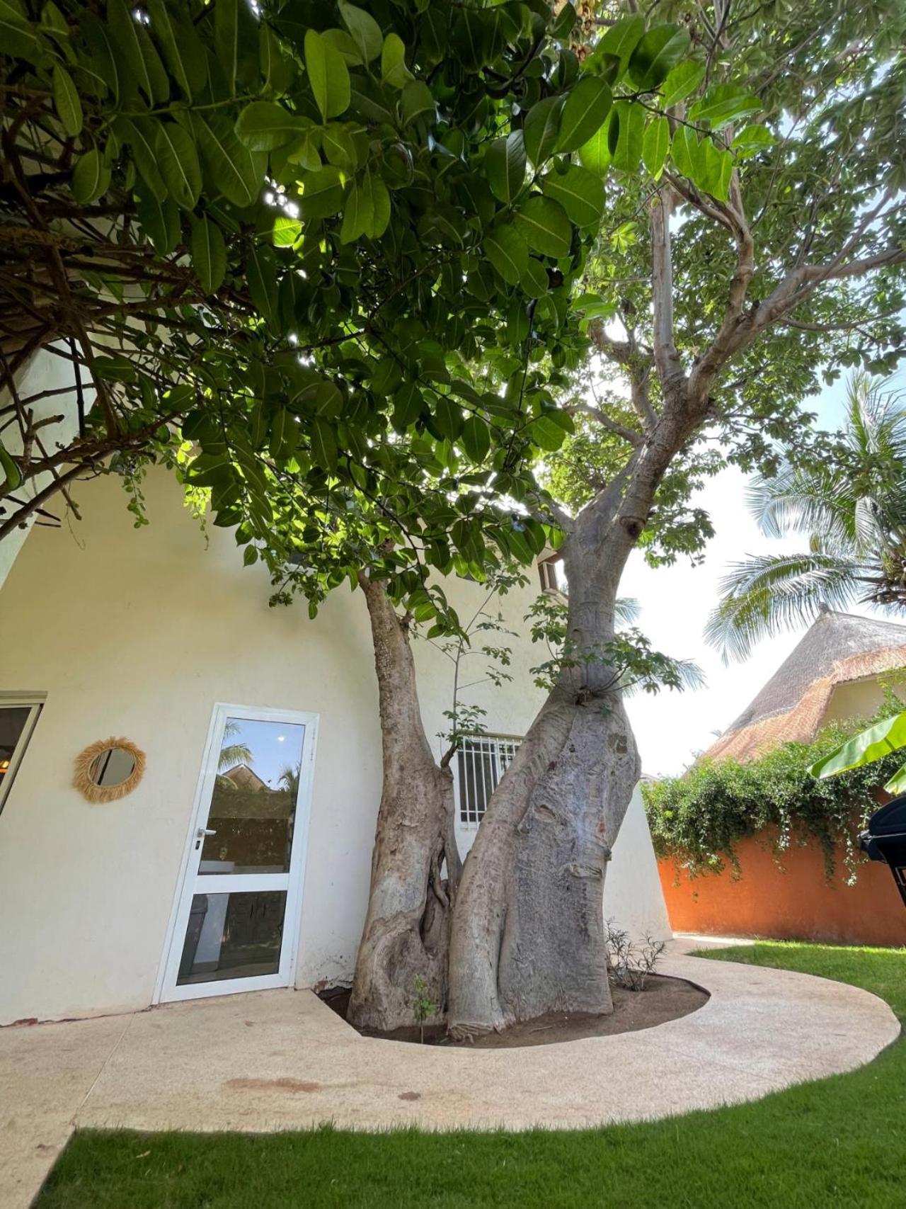 Agence Adjana Resort - Residence Du Port 3 Sali Tapé Extérieur photo